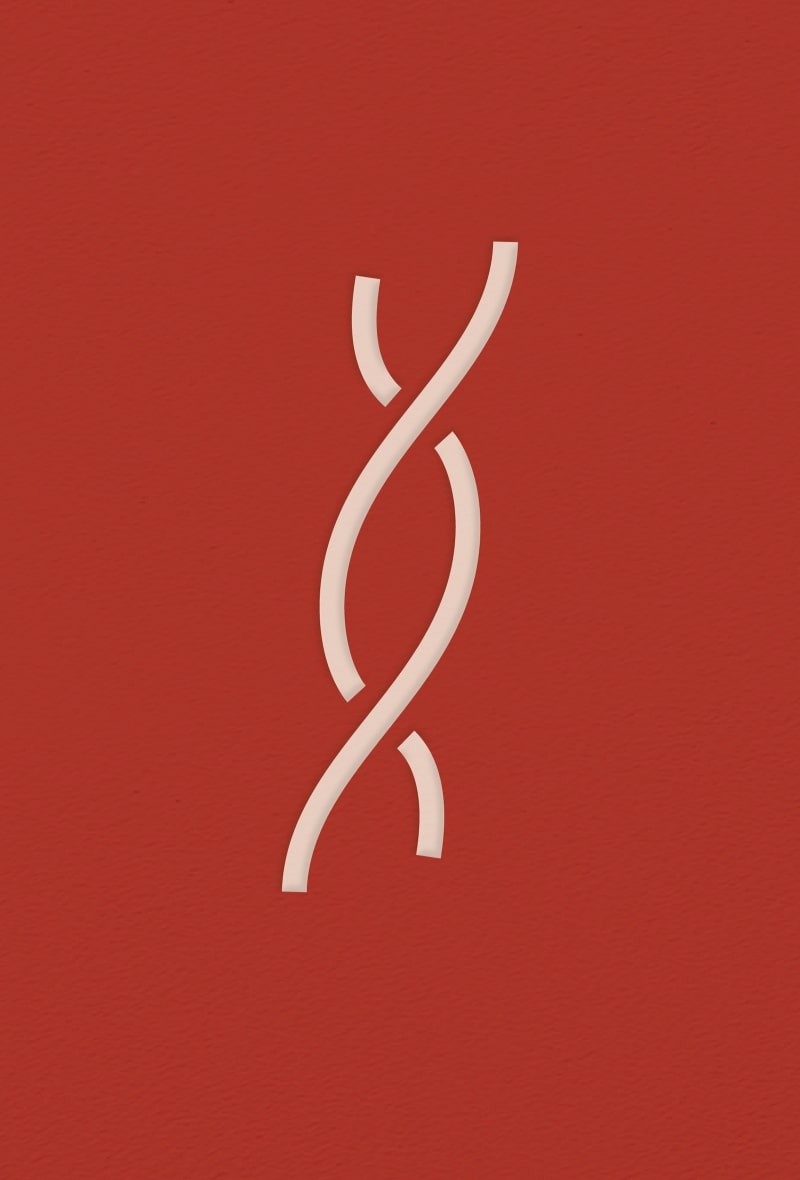 9786182202043